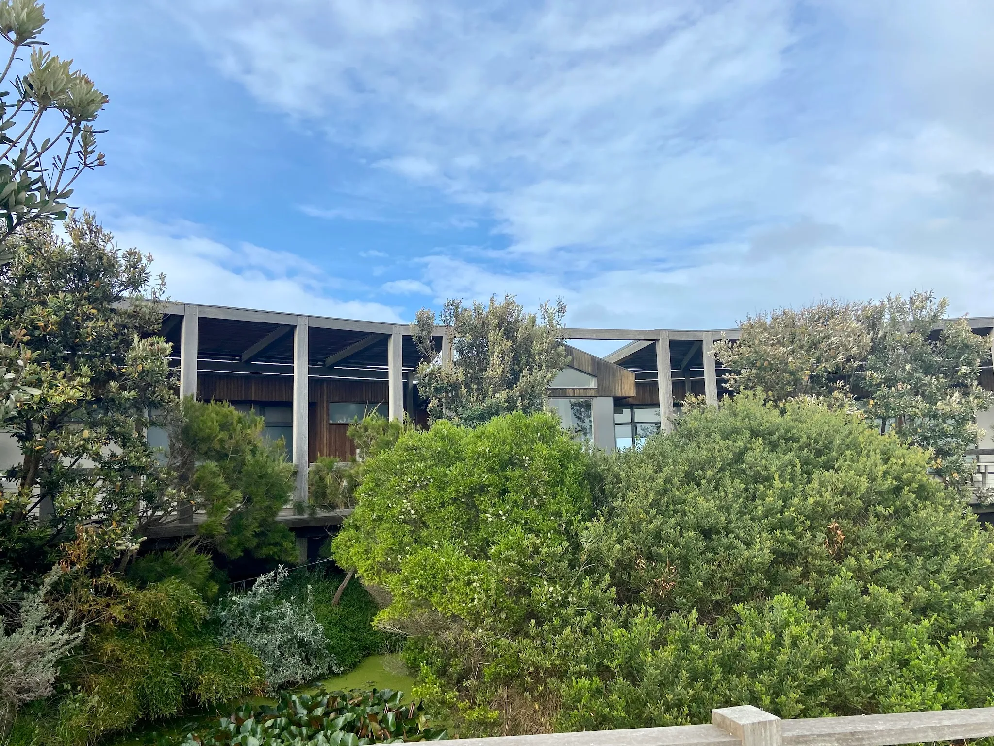 The Cape Kitchen exterior building seen through native coastal vegetation on Phillip Island